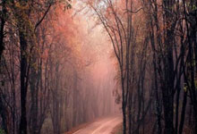 虎扑体育官网：FIFA前主席：世界杯扩军会削弱比赛质量，最终损害足球运动环球时报.