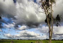 虎扑体育官网：英超-帕尔默双响 切尔西2-2十人伯恩利近4轮仅1胜.