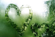 [棋牌]坎坷前行与多元拓展 玲珑围棋队走过.