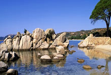 前曼联青训前锋：霍伊伦很有拼劲，但要减少与防守球员的肉搏.